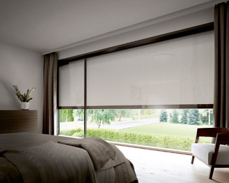 Motorized Blinds